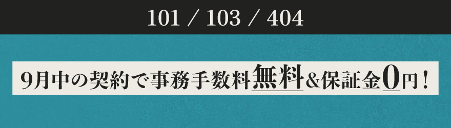 キャンペーン中